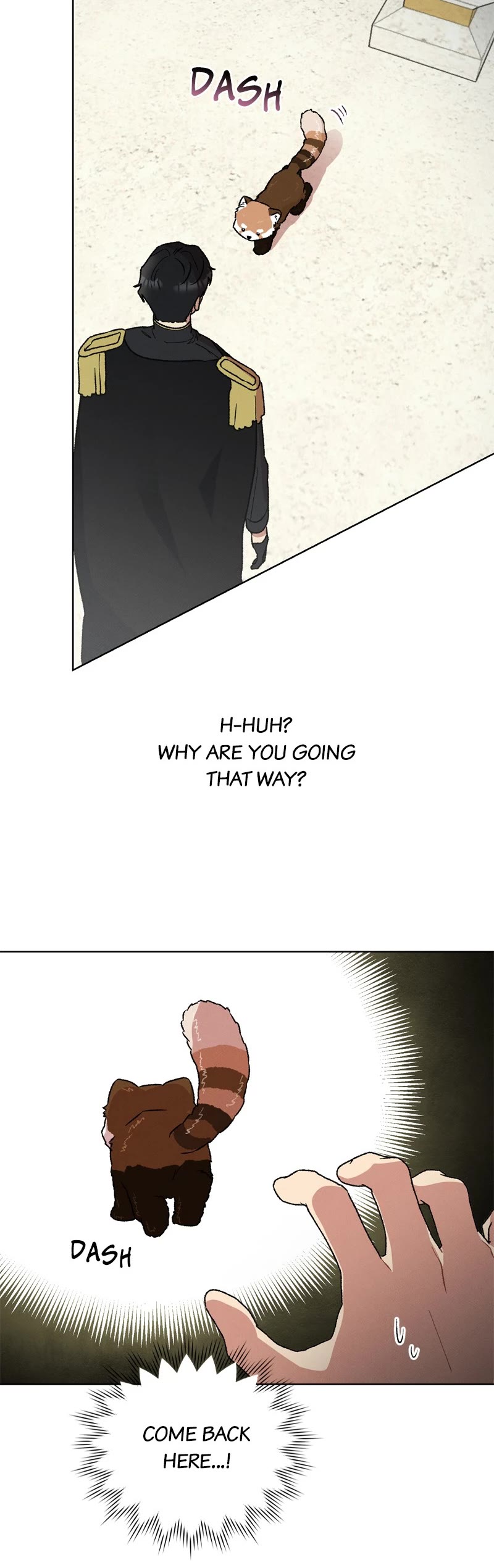 What Happens When the Sub Male Lead Goes on Strike Chapter 12 page 25 - Chapter 12