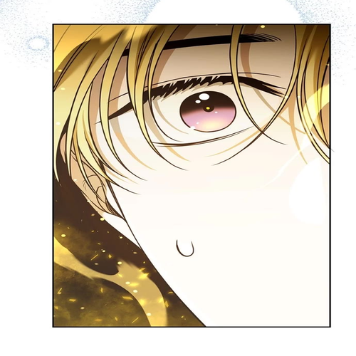 What Happens When the Sub Male Lead Goes on Strike Chapter 62 cover