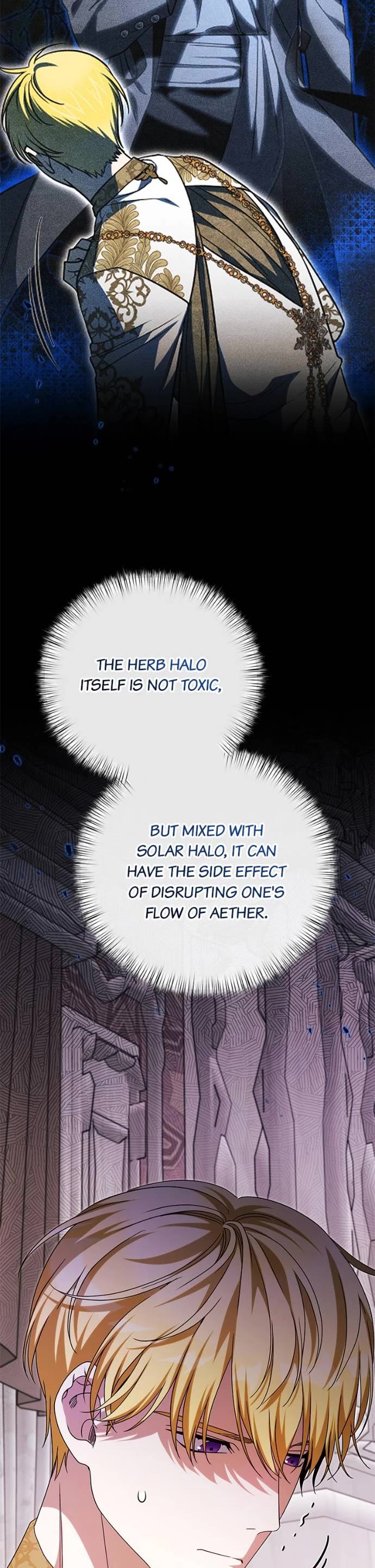 What Happens When the Sub Male Lead Goes on Strike Chapter 87 page 29 - Chapter 87
