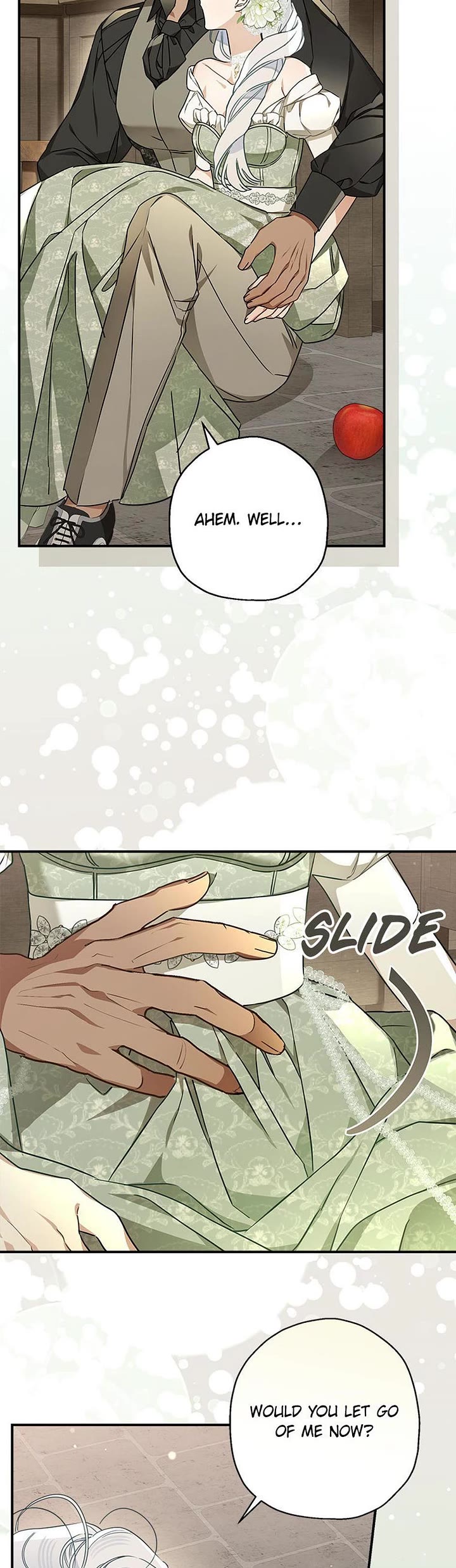 When the Count's Illegitimate Daughter Gets Married Chapter 105 page 17 - Chapter 105