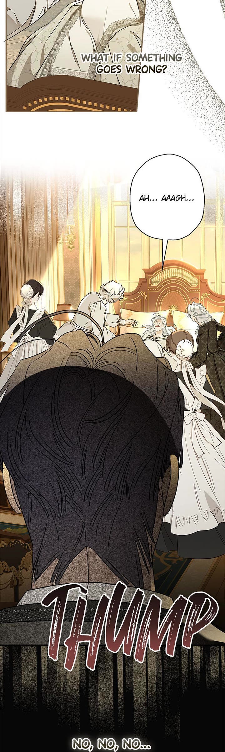 When the Count's Illegitimate Daughter Gets Married Chapter 107 page 12 - Chapter 107