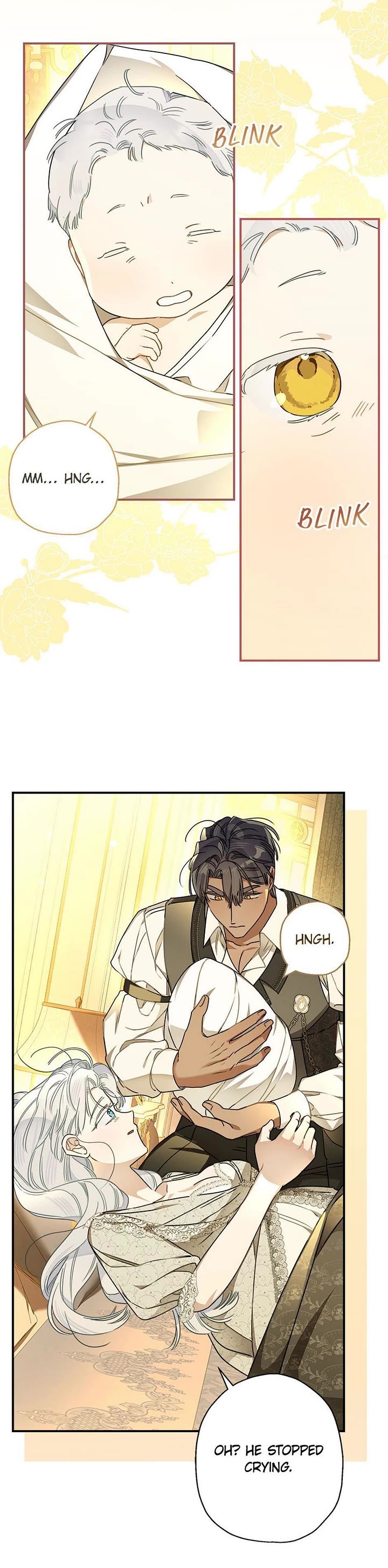 When the Count's Illegitimate Daughter Gets Married Chapter 107 page 29 - Chapter 107