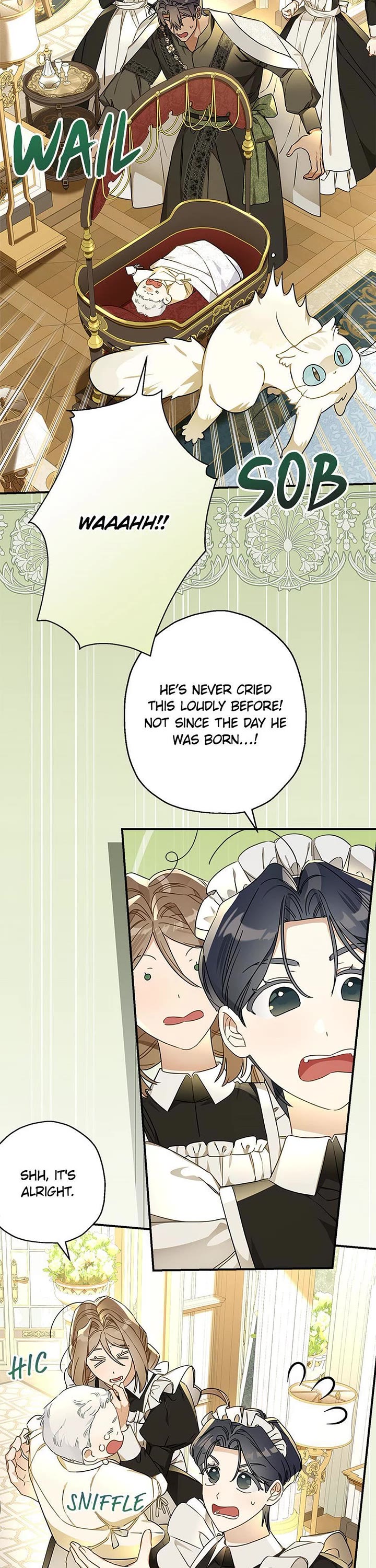 When the Count's Illegitimate Daughter Gets Married Chapter 108 page 15 - Chapter 108