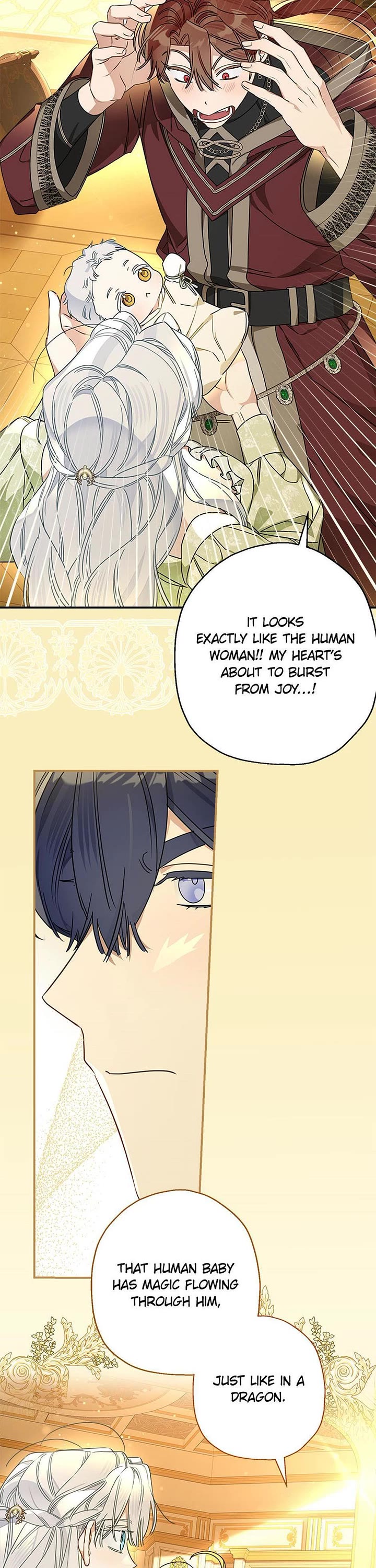 When the Count's Illegitimate Daughter Gets Married Chapter 108 page 25 - Chapter 108