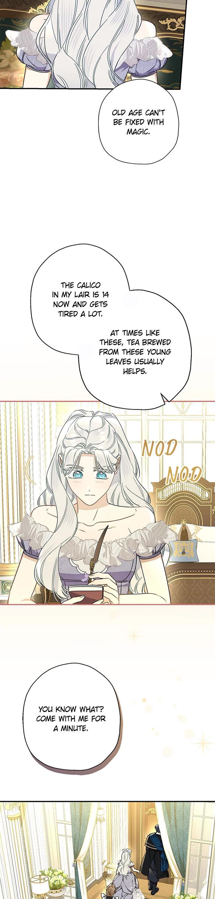 When the Count's Illegitimate Daughter Gets Married Chapter 112 page 22 - Chapter 112