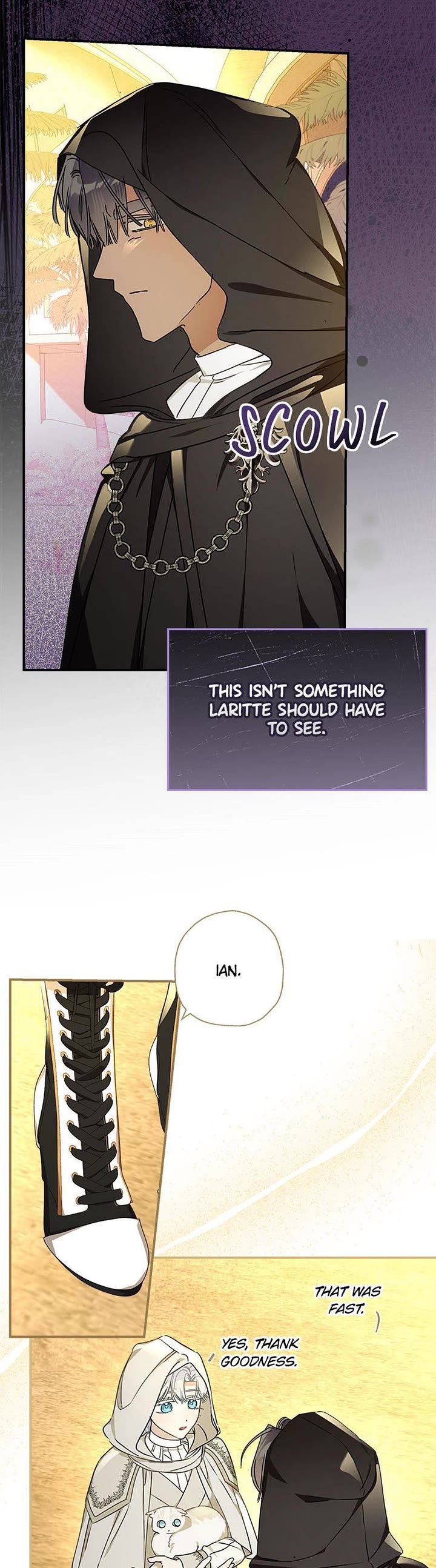 When the Count's Illegitimate Daughter Gets Married Chapter 113 page 11 - Chapter 113