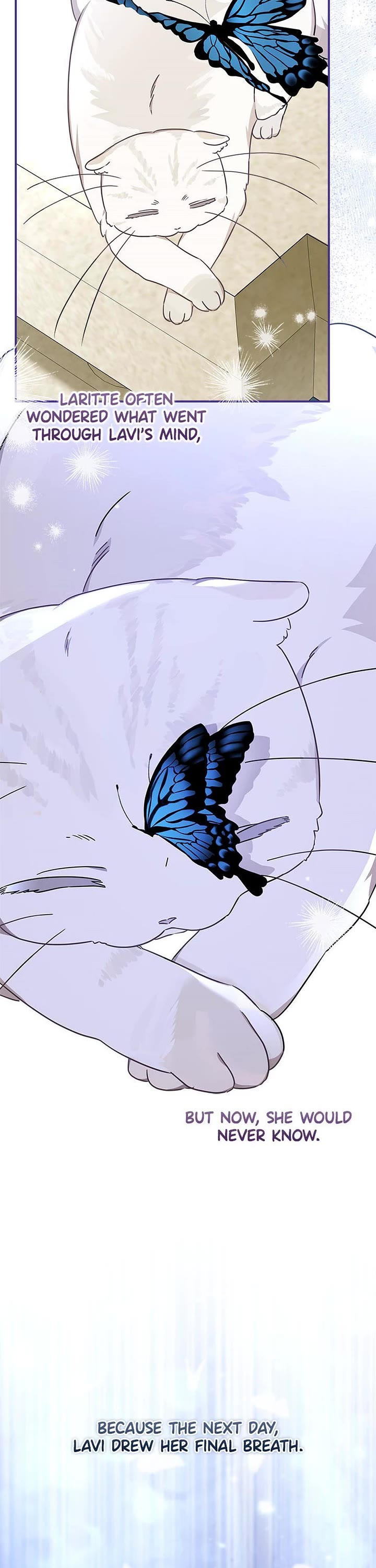 When the Count's Illegitimate Daughter Gets Married Chapter 114 page 10 - Chapter 114