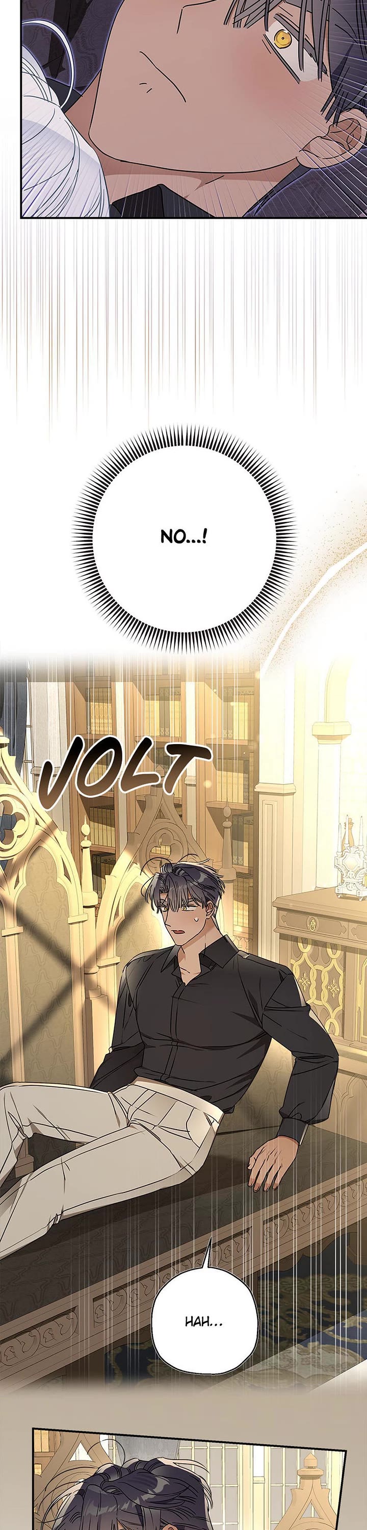 When the Count's Illegitimate Daughter Gets Married Chapter 115 page 3 - Chapter 115