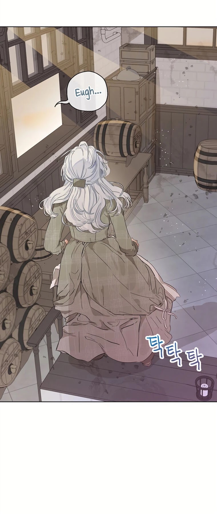 When the Count's Illegitimate Daughter Gets Married Chapter 13 page 19 - Chapter 13