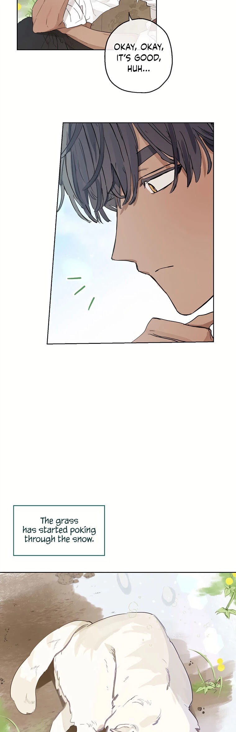 When the Count's Illegitimate Daughter Gets Married Chapter 15 page 6 - Chapter 15