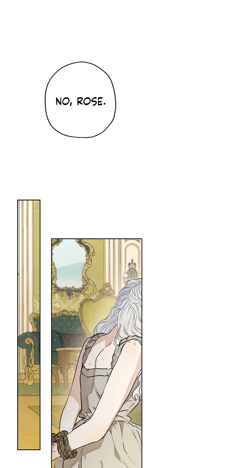 When the Count's Illegitimate Daughter Gets Married Chapter 21 page 25 - Chapter 21