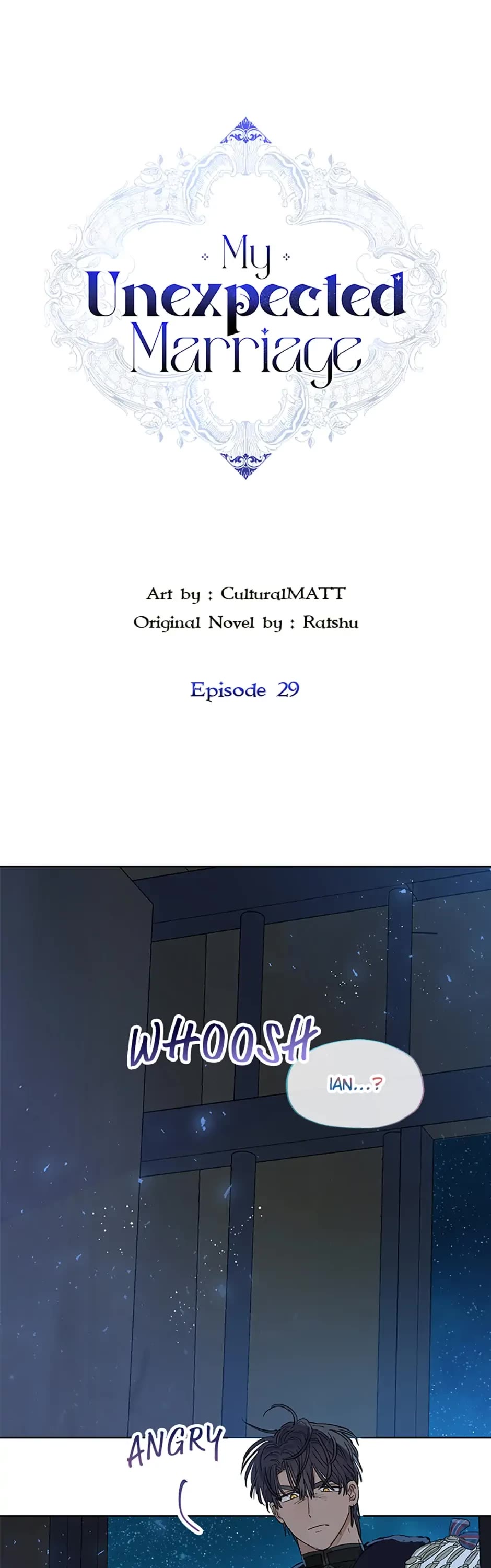When the Count's Illegitimate Daughter Gets Married Chapter 29 page 1 - Chapter 29