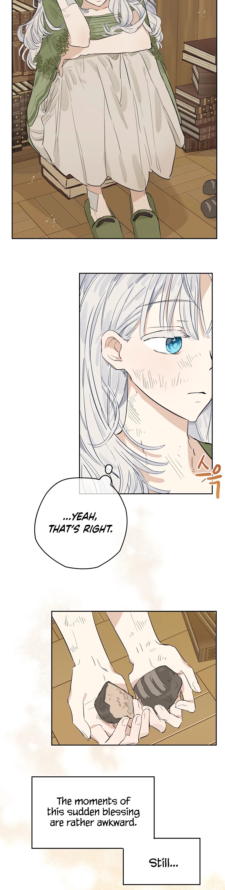 When the Count's Illegitimate Daughter Gets Married Chapter 3 page 13 - Chapter 3