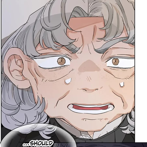 When the Count's Illegitimate Daughter Gets Married Chapter 33 cover