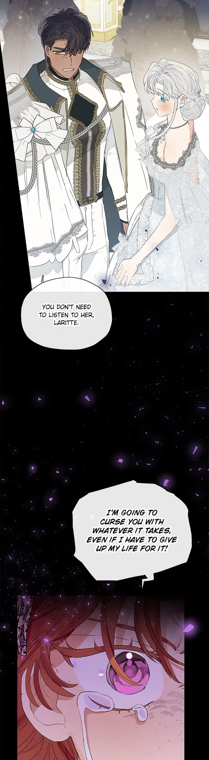 When the Count's Illegitimate Daughter Gets Married Chapter 45 page 25 - Chapter 45