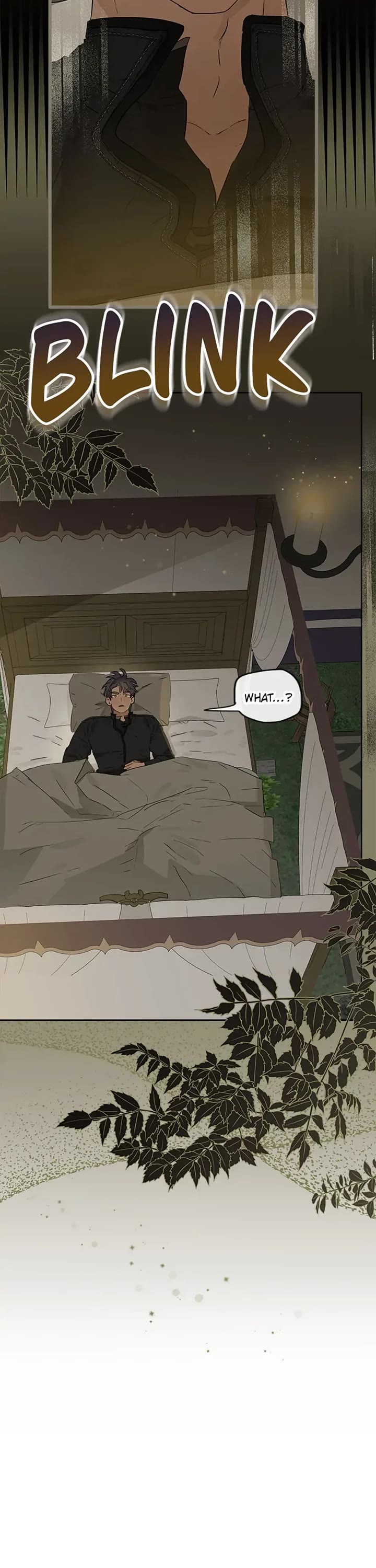When the Count's Illegitimate Daughter Gets Married Chapter 54 page 31 - Chapter 54