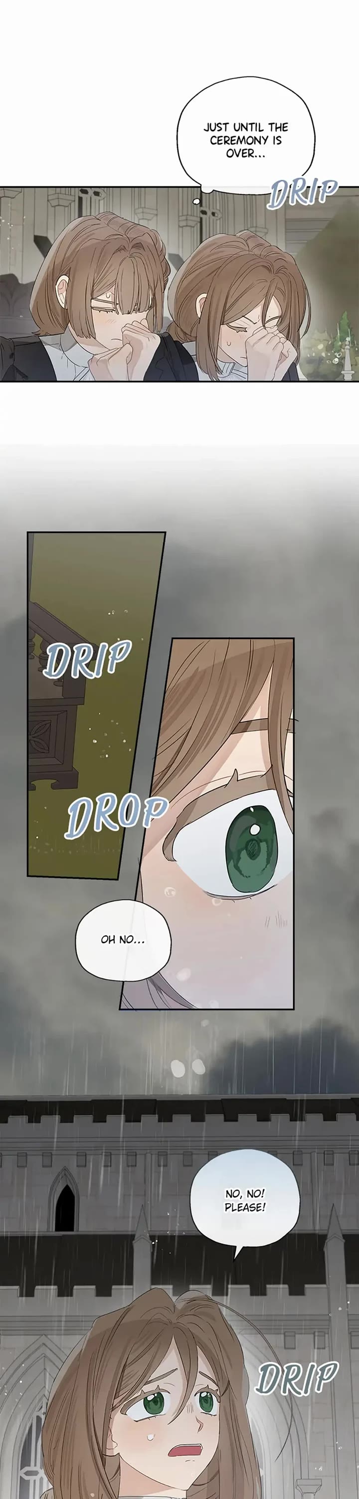 When the Count's Illegitimate Daughter Gets Married Chapter 58 page 11 - Chapter 58