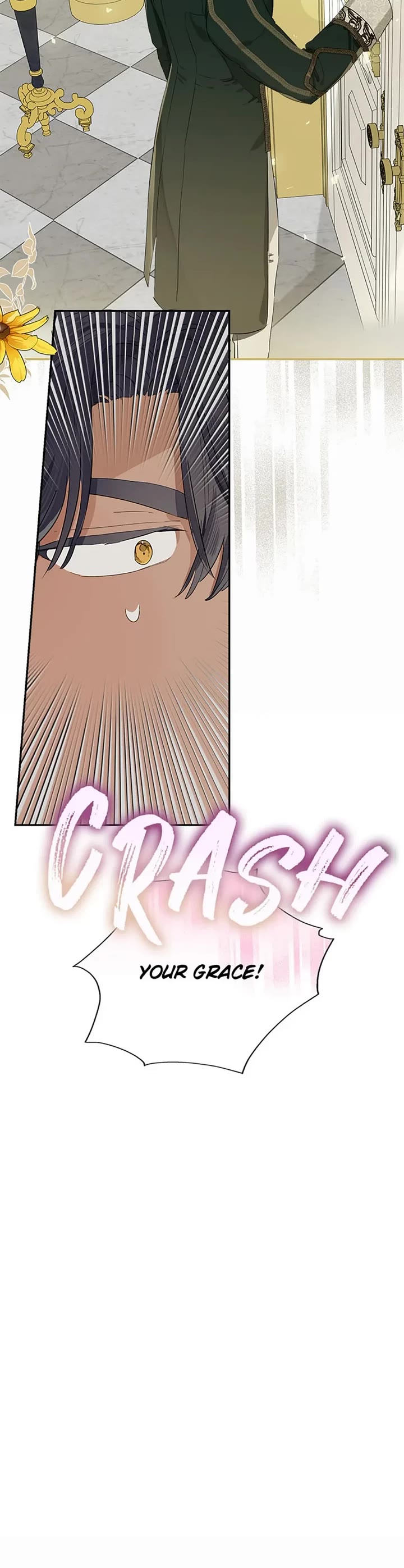 When the Count's Illegitimate Daughter Gets Married Chapter 62 page 14 - Chapter 62