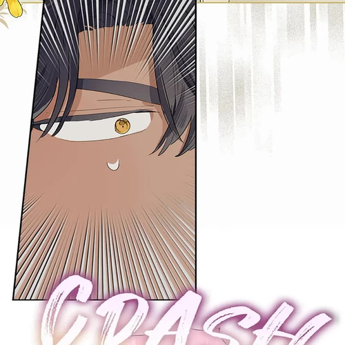 When the Count's Illegitimate Daughter Gets Married Chapter 62 cover