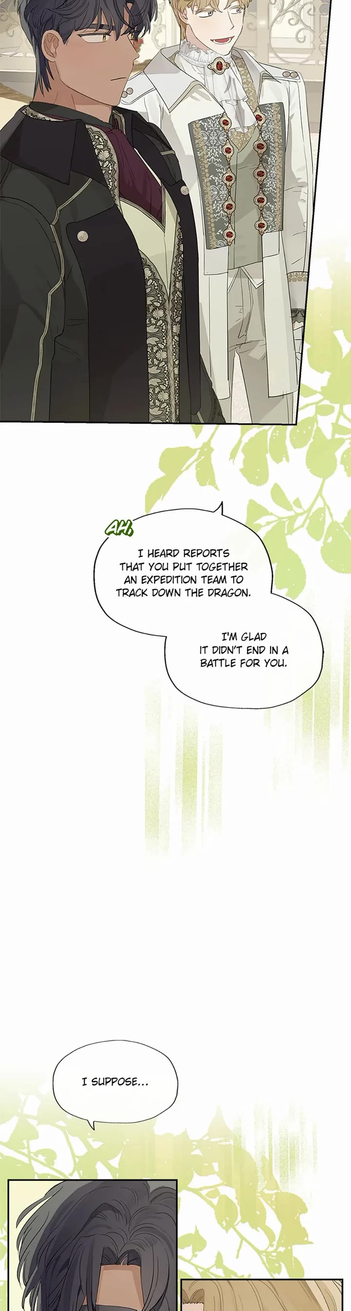 When the Count's Illegitimate Daughter Gets Married Chapter 63 page 30 - Chapter 63