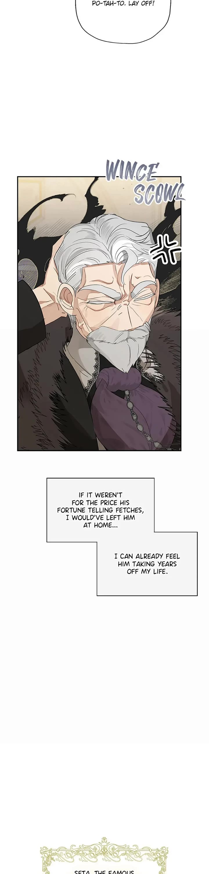 When the Count's Illegitimate Daughter Gets Married Chapter 68 page 28 - Chapter 68
