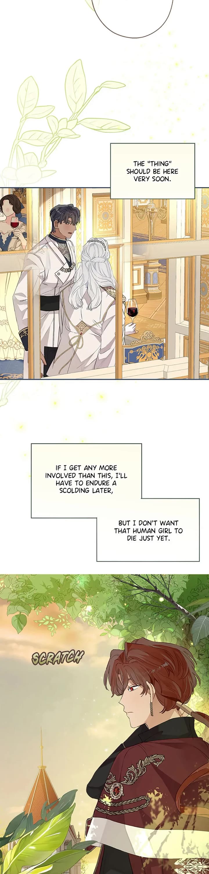 When the Count's Illegitimate Daughter Gets Married Chapter 73 page 33 - Chapter 73