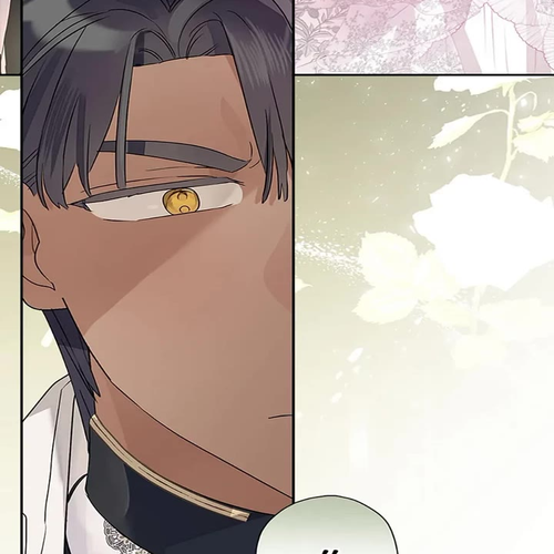 When the Count's Illegitimate Daughter Gets Married Chapter 73 cover