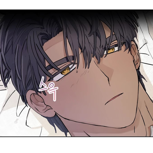 When the Count's Illegitimate Daughter Gets Married Chapter 8 cover