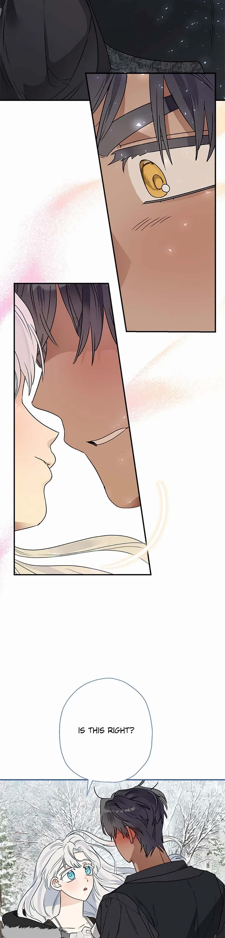 When the Count's Illegitimate Daughter Gets Married Chapter 82 page 12 - Chapter 82