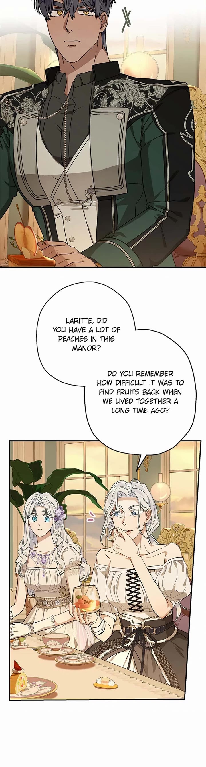When the Count's Illegitimate Daughter Gets Married Chapter 85 page 29 - Chapter 85