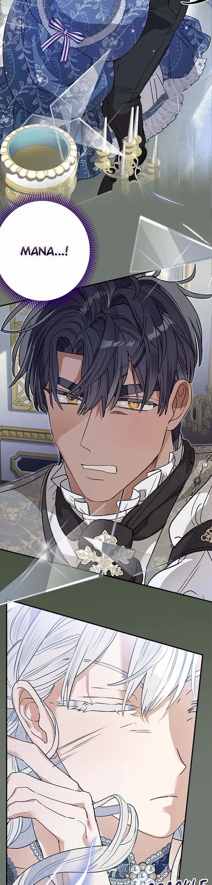 When the Count's Illegitimate Daughter Gets Married Chapter 87 page 12 - Chapter 87