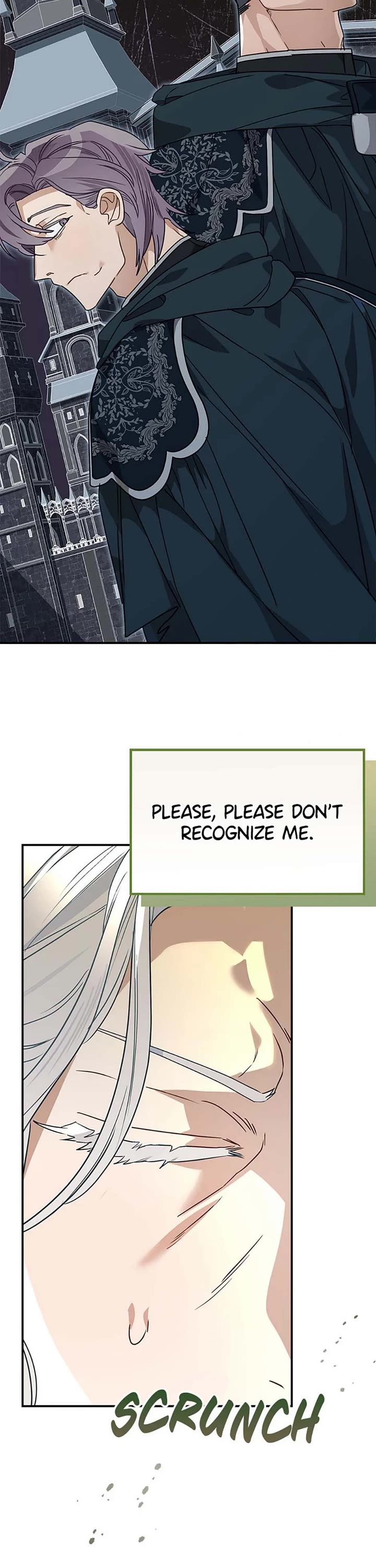 When the Count's Illegitimate Daughter Gets Married Chapter 88 page 3 - Chapter 88
