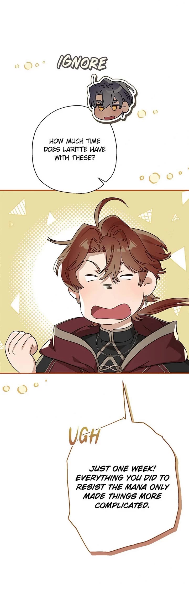 When the Count's Illegitimate Daughter Gets Married Chapter 91 page 19 - Chapter 91
