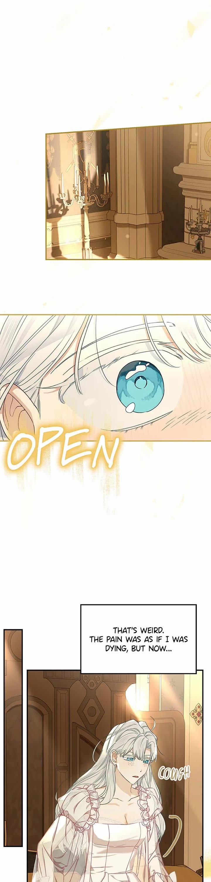 When the Count's Illegitimate Daughter Gets Married Chapter 92 page 27 - Chapter 92
