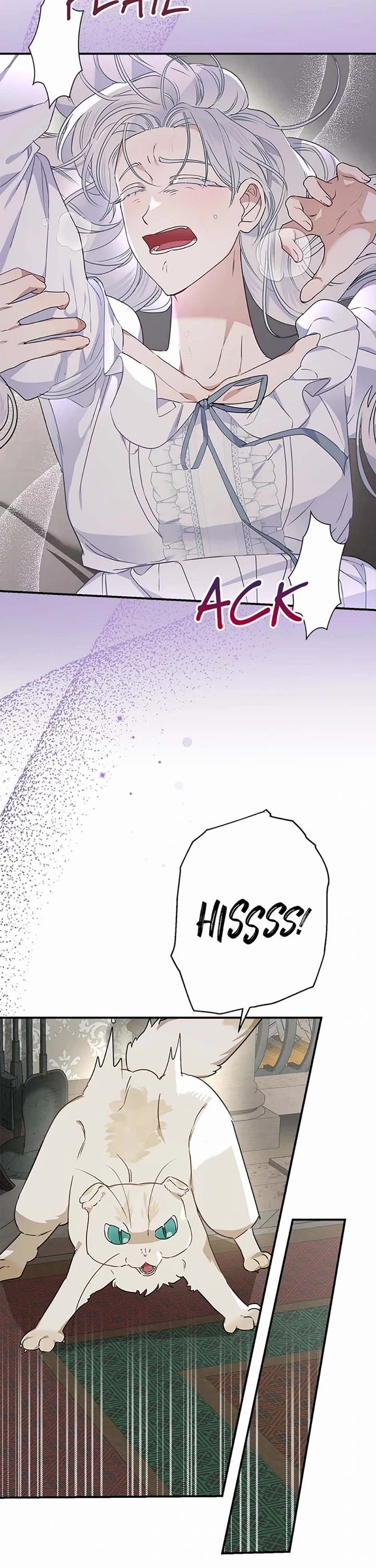 When the Count's Illegitimate Daughter Gets Married Chapter 95 page 28 - Chapter 95