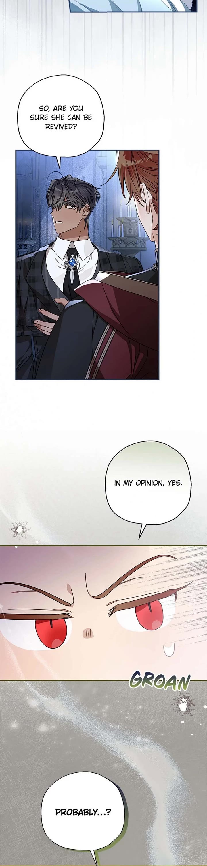 When the Count's Illegitimate Daughter Gets Married Chapter 97 page 12 - Chapter 97