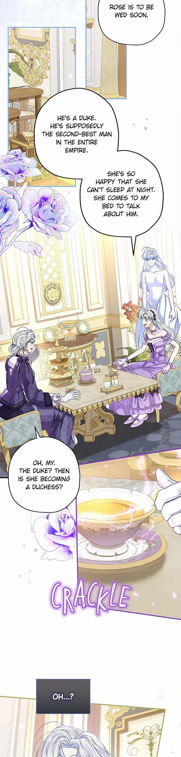 When the Count's Illegitimate Daughter Gets Married Chapter 97 page 27 - Chapter 97