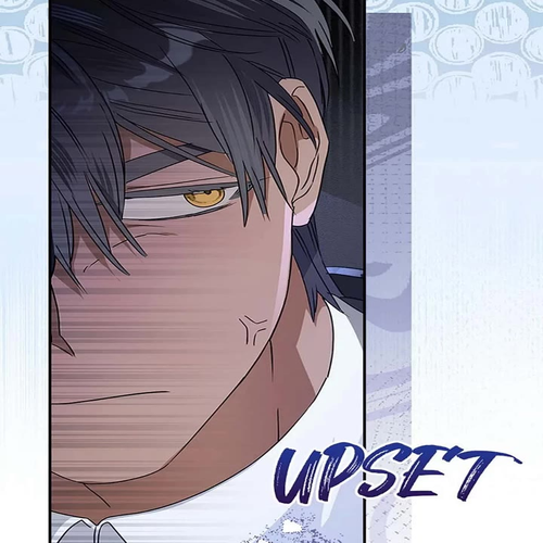 When the Count's Illegitimate Daughter Gets Married Chapter 97 cover