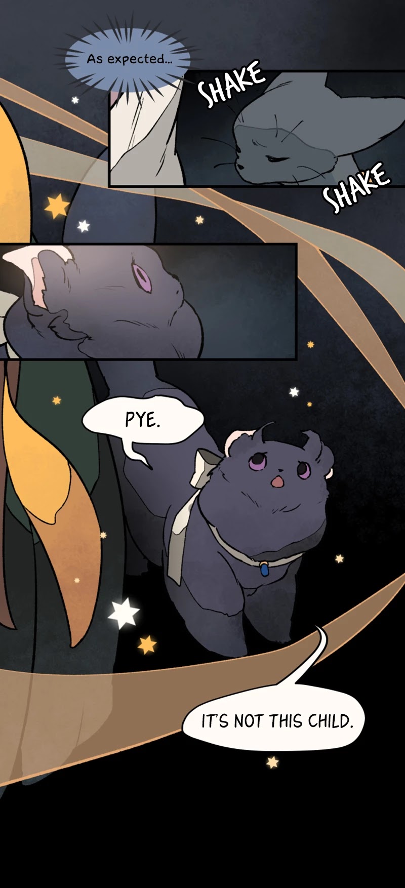 Where The Shooting Star Falls, Wait There. Chapter 1.10 page 5 - Vol.1 Chapter 10: Big Star Witch Pye