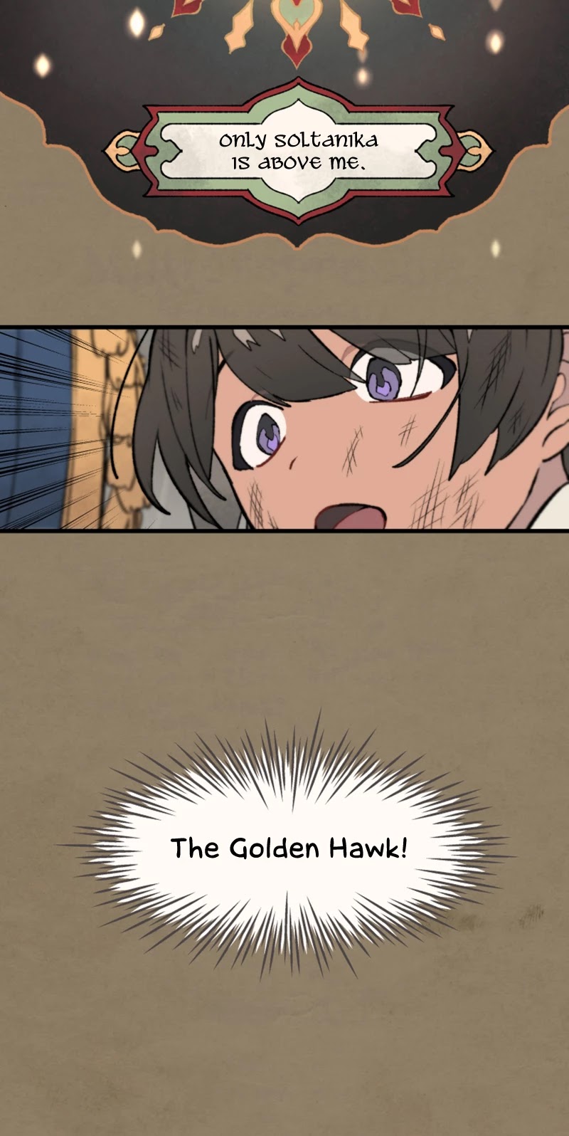 Where The Shooting Star Falls, Wait There. Chapter 1.22 page 10 - Vol.1 Chapter 22: Soltanika's Bird