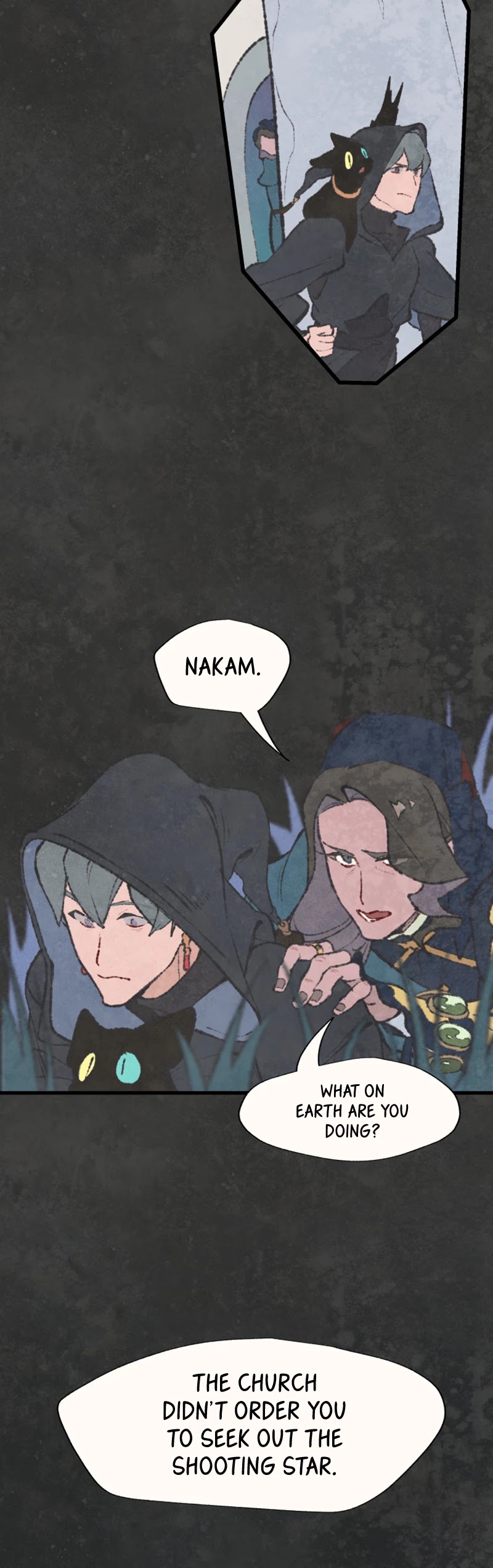 Where The Shooting Star Falls, Wait There. Chapter 2.10 page 8 - Vol.2 Chapter 10: Magicians