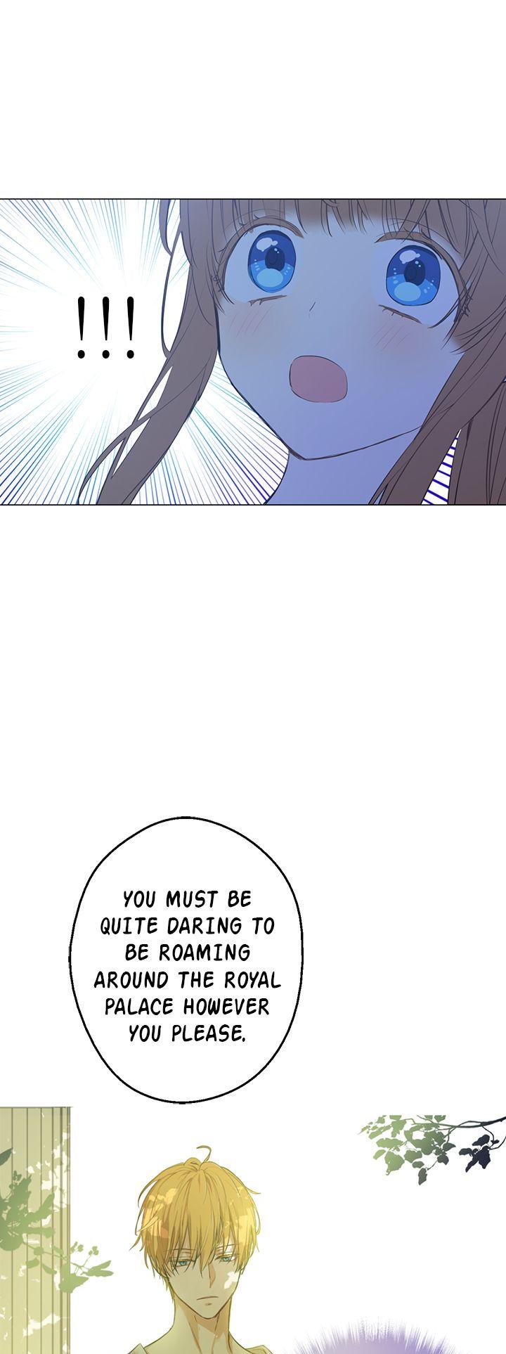 Who Made Me a Princess Chapter 39 page 33 - Chapter 39