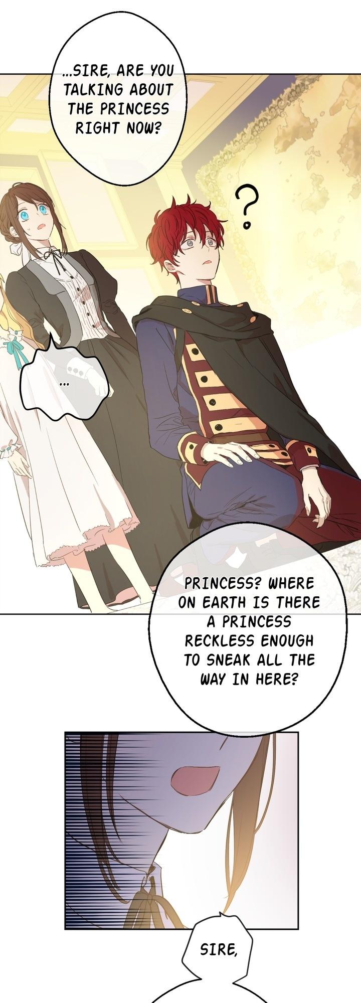 Who Made Me a Princess Chapter 47 page 13 - Chapter 47