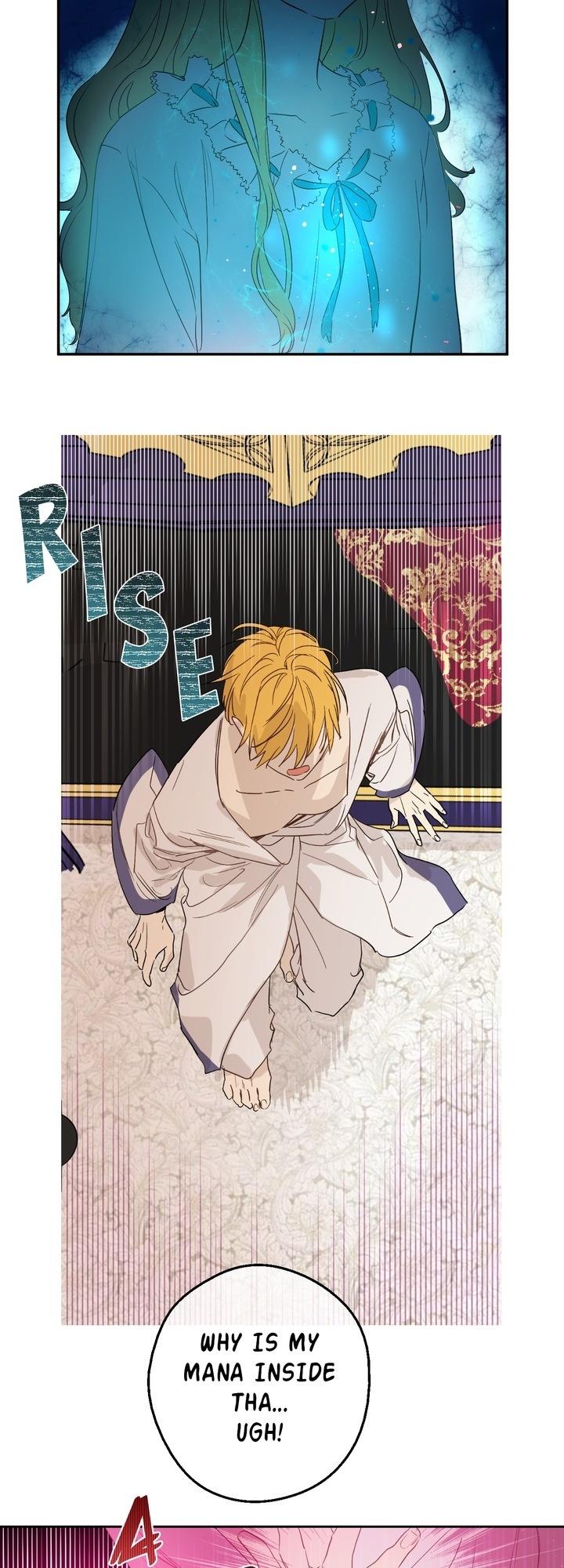 Who Made Me a Princess Chapter 47 page 21 - Chapter 47