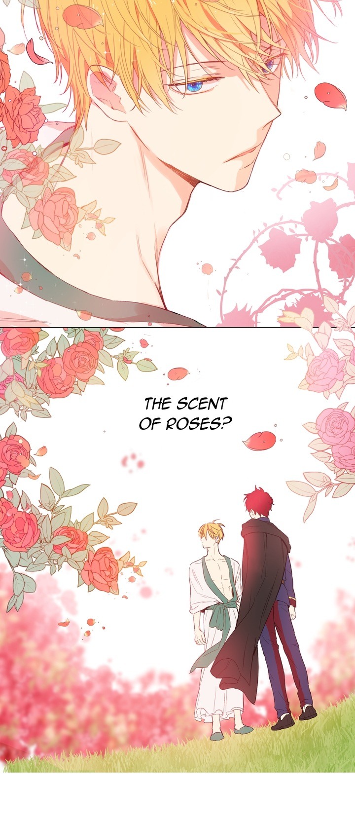 Who Made Me a Princess Chapter 48 page 31 - Chapter 48