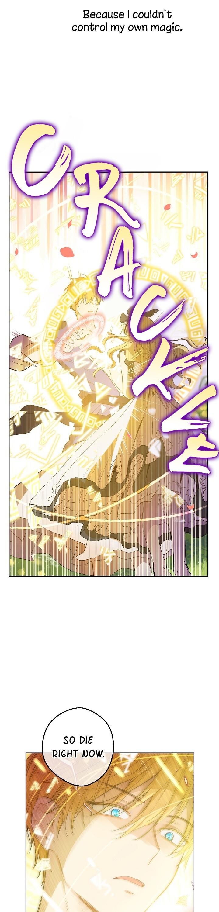 Who Made Me a Princess Chapter 54 page 4 - Chapter 54