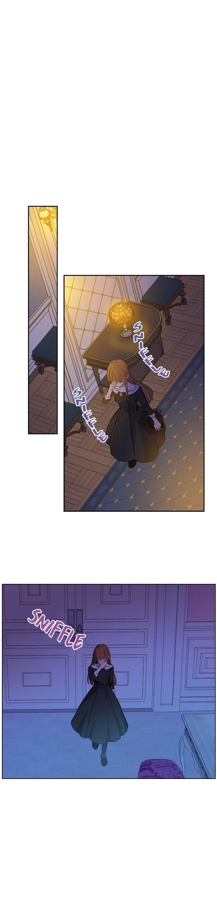 Who Made Me a Princess Chapter 55 page 27 - Chapter 55