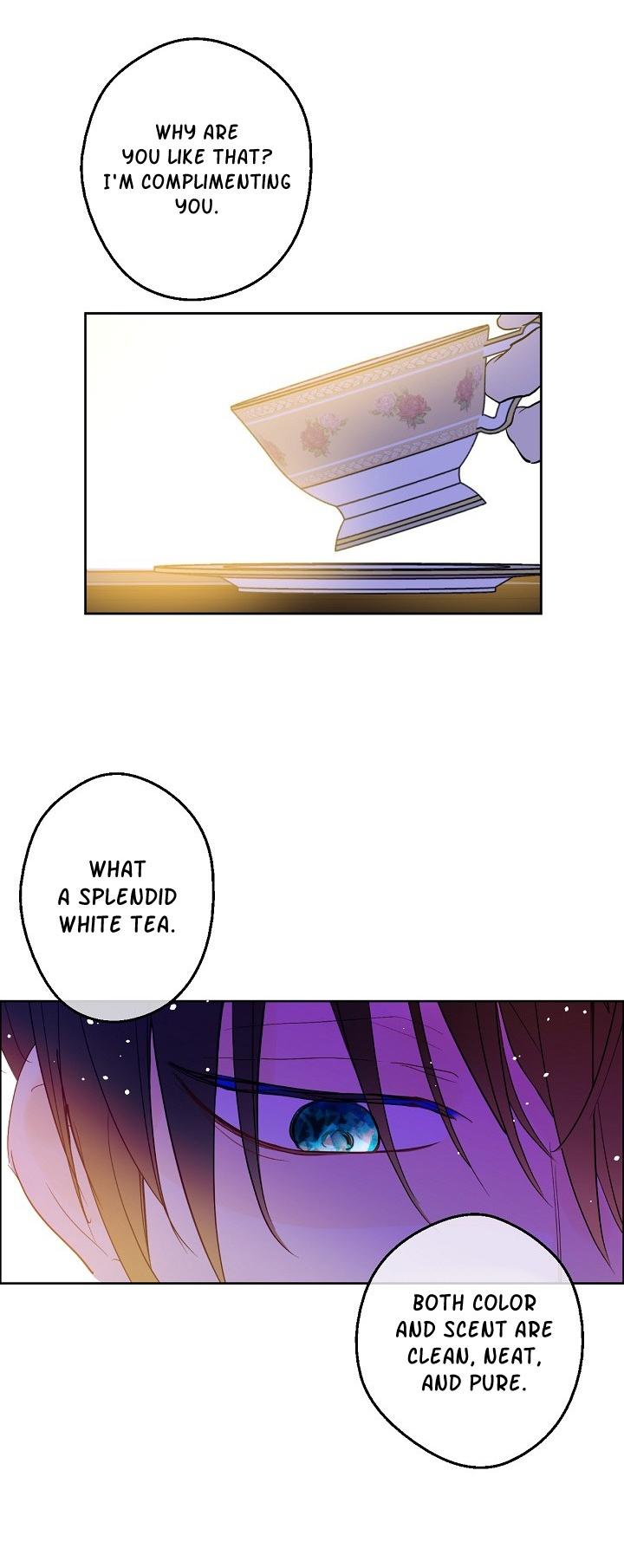 Who Made Me a Princess Chapter 59 page 21 - Chapter 59