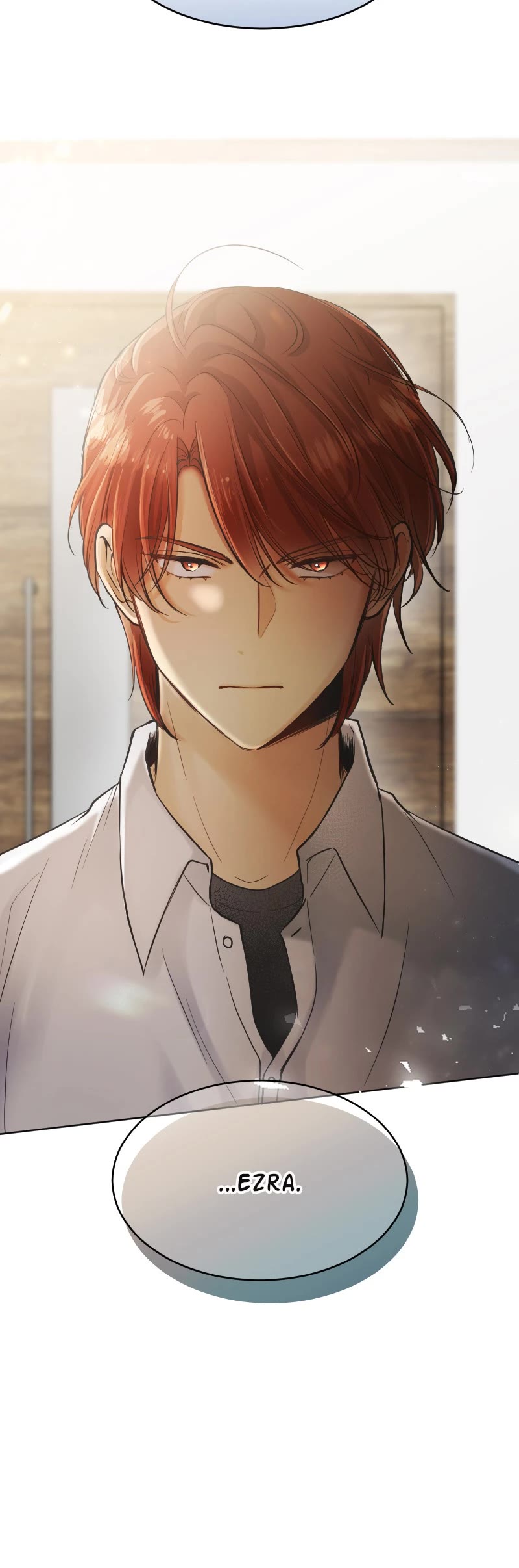 Who's Mr. President? Chapter 31 page 23 - Chapter 31: Episode 31 (Season 1 Finale)