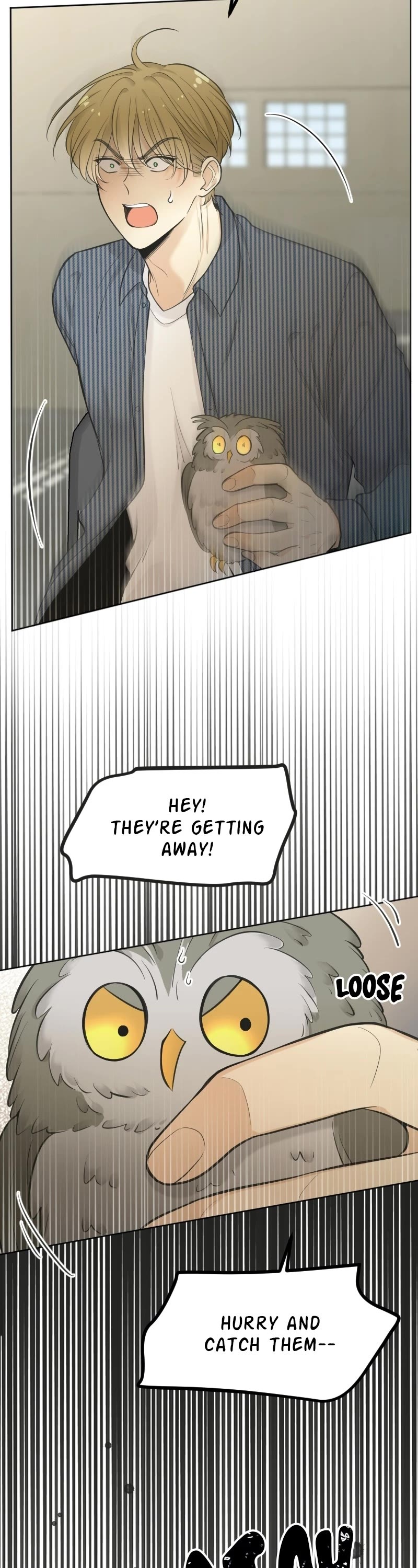 Who's Mr. President? Chapter 67 page 16 - Chapter 67: Episode 67